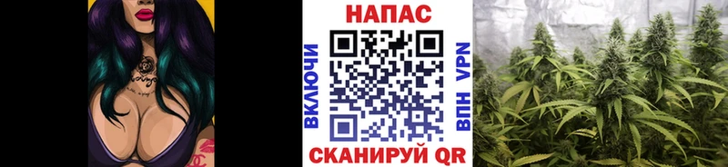 Шишки марихуана Ganja  где найти наркотики  ОМГ ОМГ вход  Нюрба 